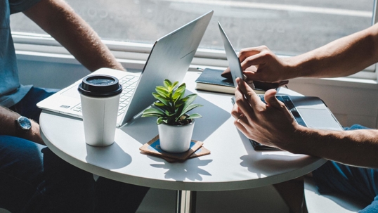 meeting coffee plant